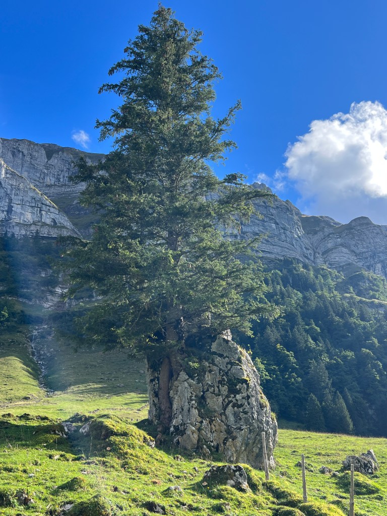 Eindrücke Seealpsee, Appenzell, Schweiz